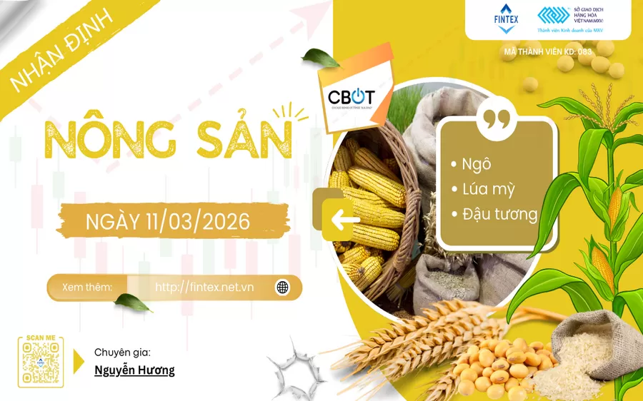 NHẬN ĐỊNH THỊ TRƯỜNG NÔNG SẢN NGÀY 11/03/2026